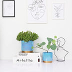 Gepege Ceramic Pots for Plants, Rainbow Pearl Glaze Planter with Drainage Hole, 6.0 inch+5.0 Inch+4.0 Inch. Indoor-Outdoor Large Round Succulent Orchid Flower Pot