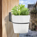 2 Pack 6 inch Flower Pot Holder Ring, Flower Pot Holder Ring Wall Mounted Set Wall Mounted Metal Planter Hanger Matte Black Hanging Plant Holder
