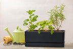 D'vine Dev 12 Inch Window Box Planter, Rectangle Plastic Herb Planter with Drainage Holes and Saucer, Indoor Succulent Cactus Vegetable Pot for Windowsill, Garden Balcony, Black, Set of 2, 76-X-B-2
