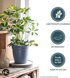 The HC Companies 8 Inch Eclipse Round Planter Pots with Drainage Holes & Attached Saucer, Lightweight UV-Resistant Plastic Indoor & Outdoor Planters, 6-Pack Flower Pots for Garden & Home Decor, Rose