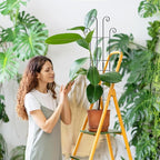 Coomin 32.6in Monstera Plant Support Stakes for Outdoor Plants, Garden Trellis for Climbing Plants, Metal Stakes for Potted Plants Pothos Plant Climber Support, 4P