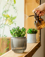 Melphoe Self Watering Pots for Indoor Plants Planter, 4.3 Inch 2 Pack Planters Self Watering Plant Pots for Flower, Houseplants, Succulent, African Violets and Cactus with Drainage