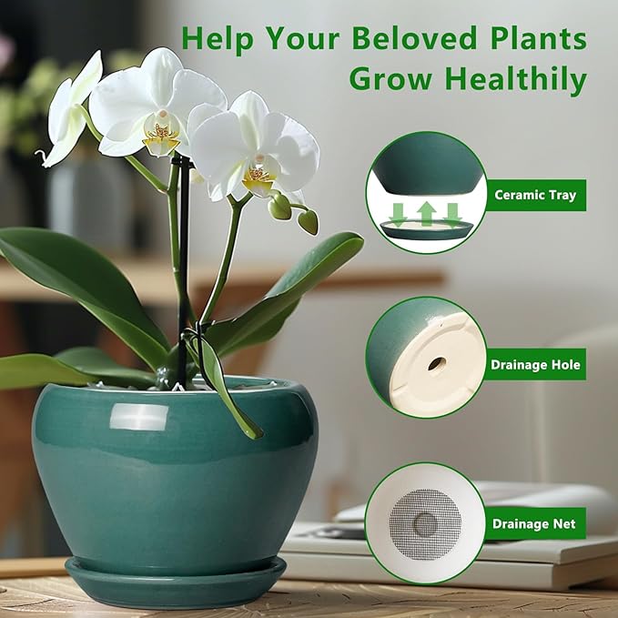 8 Inch Plant Pot - Ceramic Planter for Indoor Outdoor Plants, Glaze Modern Round Ceramic Flower Pot with Drainage Hole and Saucer, Gifts for Plant Lover, Home Office Patio Decor, Green