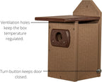 Recycled Poly Lumber Standard Bluebird Bird House (Brown and Brown)