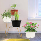 5 Pack 10.5 inch Plant Pots,Planter-Pots-for-Plants，Plastic Flower Pot for Indoor Outdoor Plants with Drainage Holes & Trays, Decorative Garden Containers Sets for Houseplants