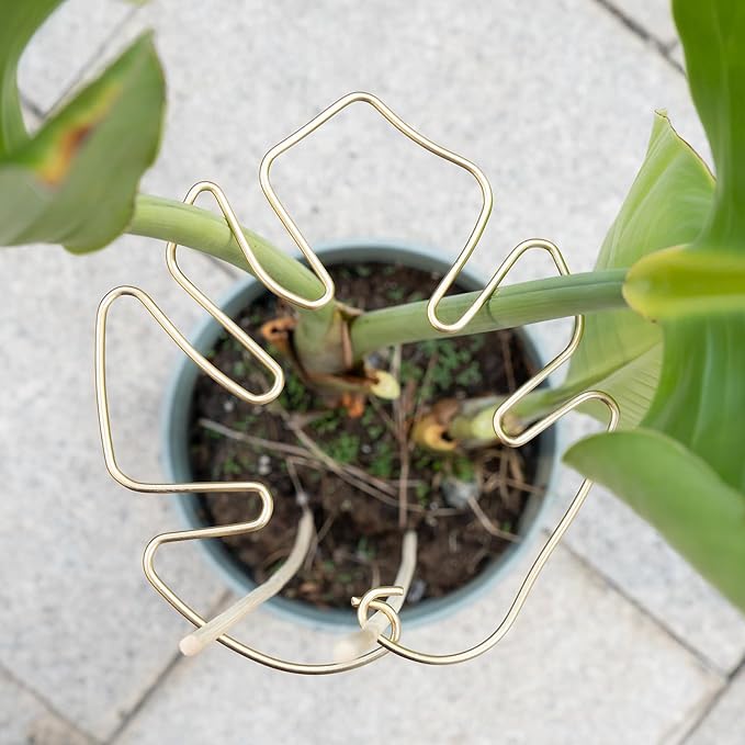 Monstera Stem Support - 5-Piece Durable Plant Support System for Monstera & Turtle Shell Plants -Premium -Quality Leaf Clamps -Easy-to-Use Indoor Garden Stabilizers for Healthy Growth