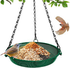 Hanging Platform Bird Feeder, 9 in, Green | Stainless Steel Mesh Tray, For Small Birds, Garden & Patio