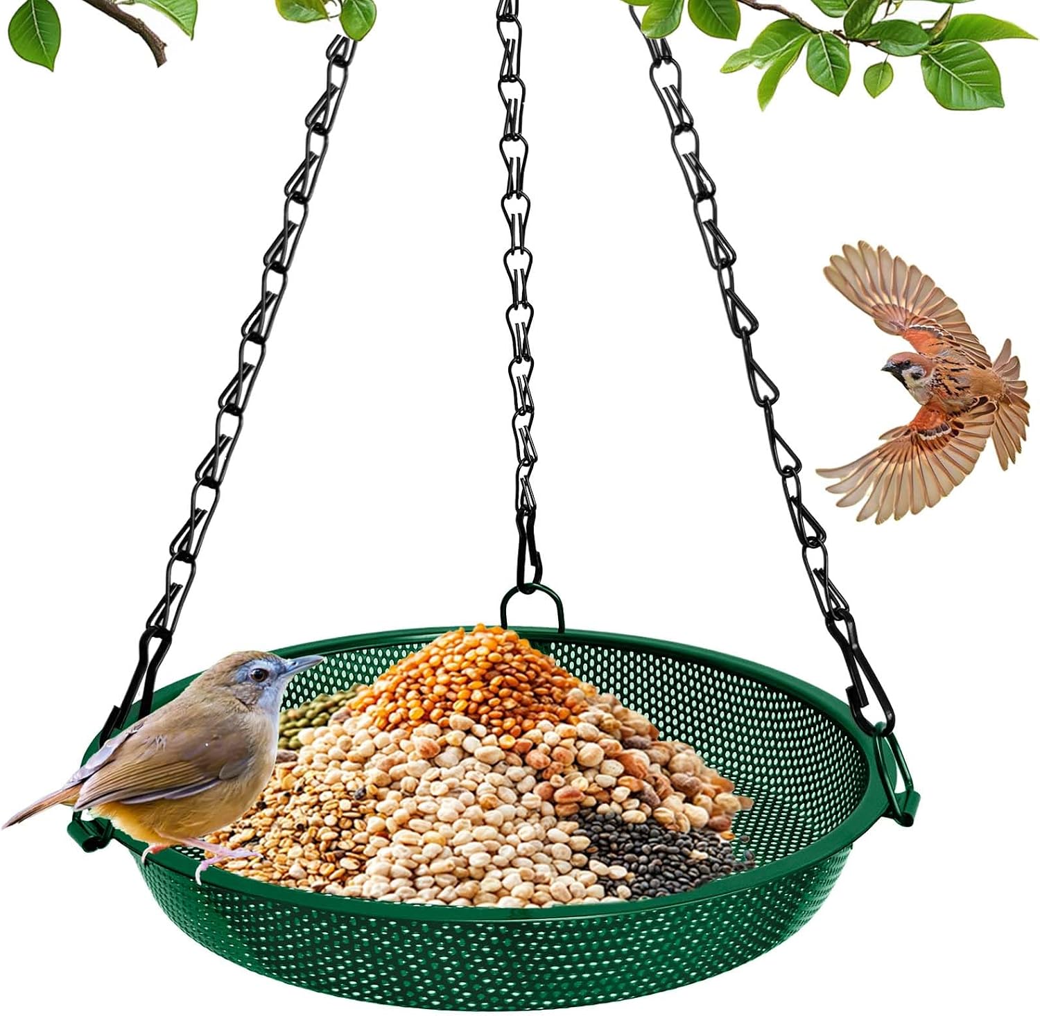 Hanging Platform Bird Feeder, 9 in, Green | Stainless Steel Mesh Tray, For Small Birds, Garden & Patio