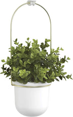 umbra triflora hanging planter, indoor herb garden, set, view 13
