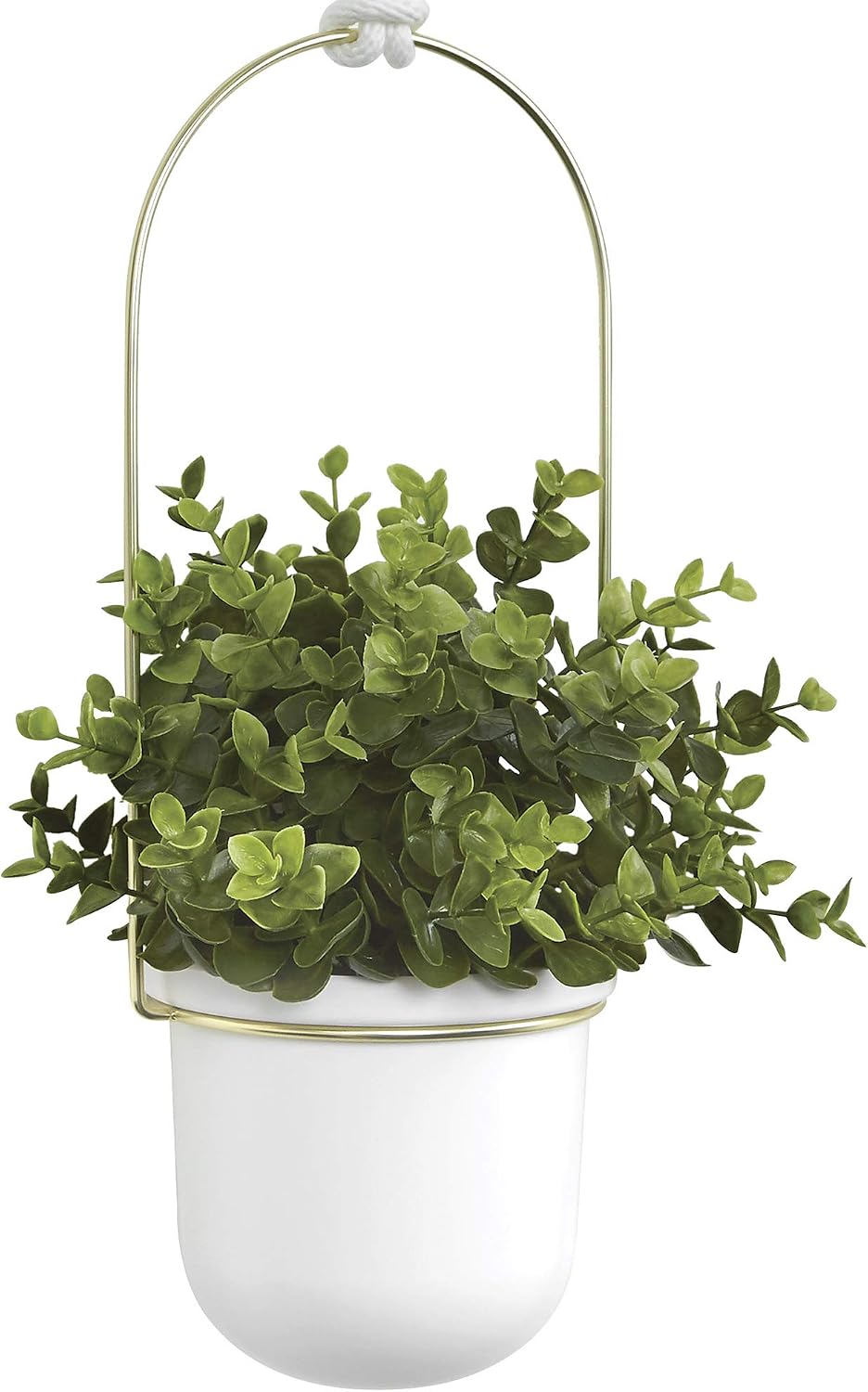 umbra triflora hanging planter, indoor herb garden, set, view 13