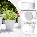 Dahey 10 Pcs Hanging Flower Pots Metal Iron Bucket Planter for Railing Fence Balcony Garden Home Decoration Flower Holders with Detachable Hooks, White, 5 inches