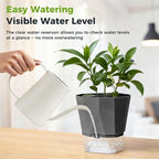 6 Pack Self Watering Plant Pots 8.4" Self Watering Planters for Indoor and Outdoor Plants African Violet Self Watering Clear Pots for Plants Large Herb Orchid Flower Houseplant Pots, Dark Grey