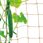 Jute Trellis Netting - Jute Netting for Garden, Heavy Duty Plant Support Netting for Climbing Plants, Cucumber, Vine, Fruits & Vegetables, Climbing Vining Plants (6.6 Ft x 16.4 Ft, 3.9 Inch Squares)