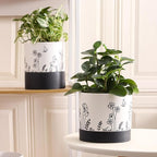Nihow Ceramic Plant Pot: 6 Inch Planter with Drainage Hole & Saucer for Indoor & Outdoor Plants - Cylinder Round Flower Pot for Succulent/Herbs/Violets - White