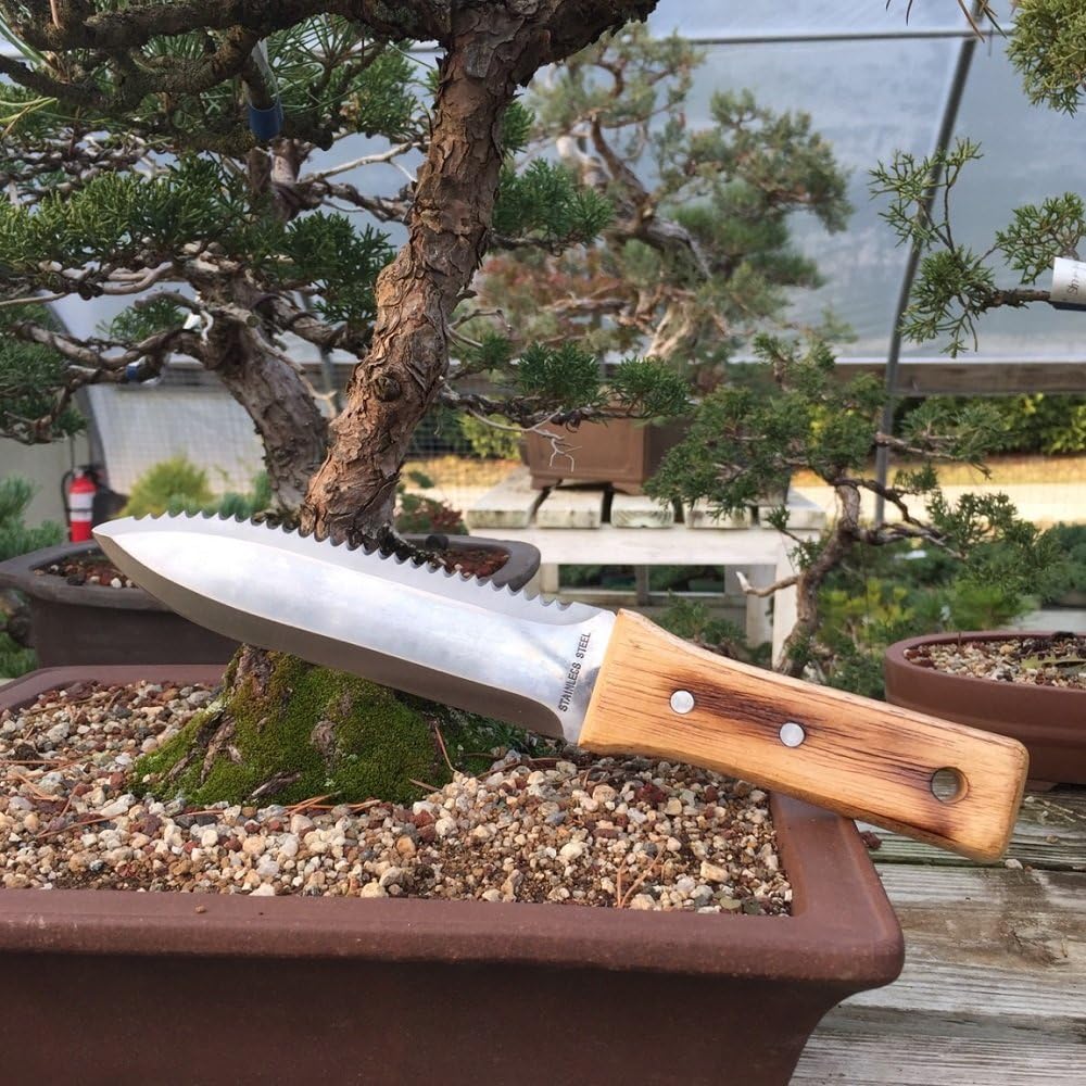 Tinyroots Hori Hori Knife for Gardening, Multiple Purpose Garden Tools Used for Digging, Cutting and Weeding, Stainless Steel with Wooden Handle