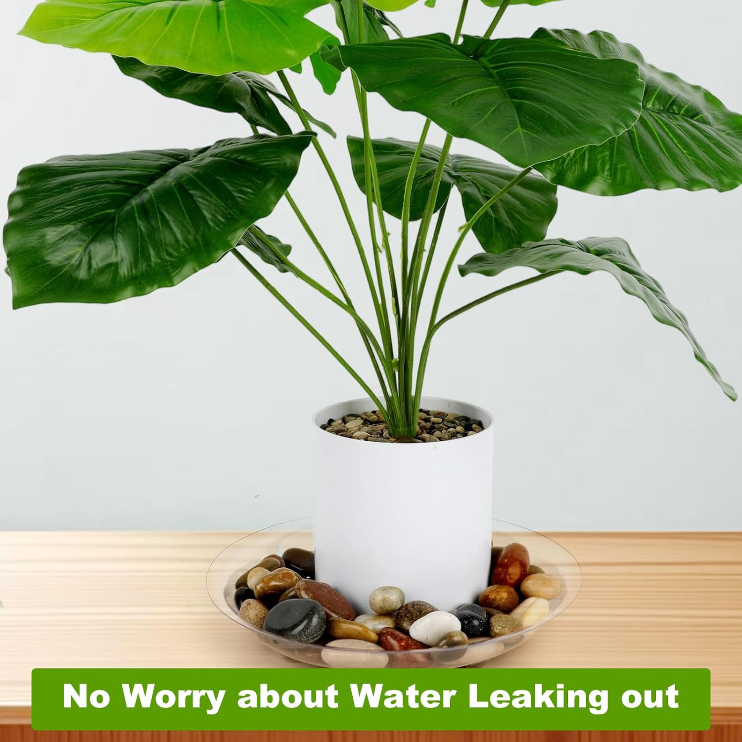 6 Pack 12 Inch Heavy Duty Clear Plastic Plant Saucer Sturdy Pot Tray Plant Drip Trays for pots,Plant Water Catcher Tray,Flower Pot Saucer Water Drainage Tray Floor Protector (12 Inch)
