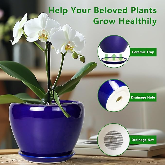 6 Inch Plant Pot - Ceramic Pots for Plants Succulent Pot with Drainage Hole and Saucer Round Planter Outdoor Flower Pot for Herb Snake Plants Blue