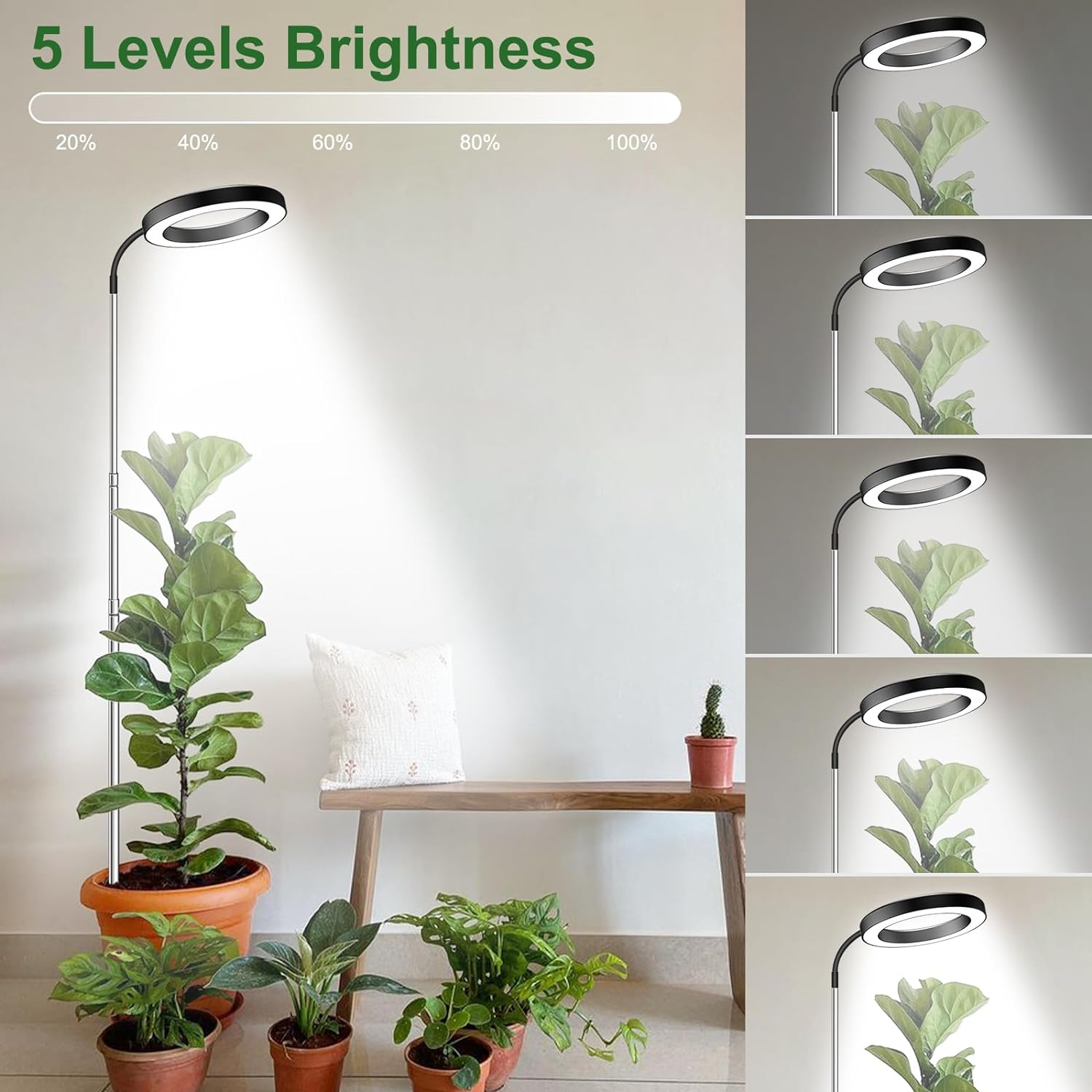 Grow Lights for Indoor Plants Full Spectrum, 80 LEDs 3 Colors Grow Light, 65in Large Plant Lights for Indoor Growing with 360°Gooseneck, 6/12/16H Timer, 5 Brightness, Height Adjustable, Black | 65in Plant Lights for Indoor Growing with 360°Gooseneck
