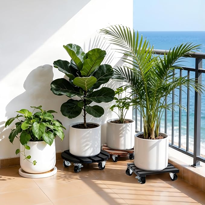 2 Pack Plant Stand with Wheels, Plant Caddies with 360° Lockable Smooth Sliding Wheels Durable Sturdy, Outdoor/Indoor Heavy Duty Rolling Plant Stand for Plant Pot,Flower Pot (11" Black)