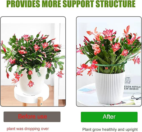 36 Pack Plant Support Stakes for Indoor Plants, Half Round Plant Stakes Ring Stackable 3 Tier Garden Flower Support for More Sizes (10,20,30 Inches), Plastic Cage Trellis for Climbing Leafy Vegetable