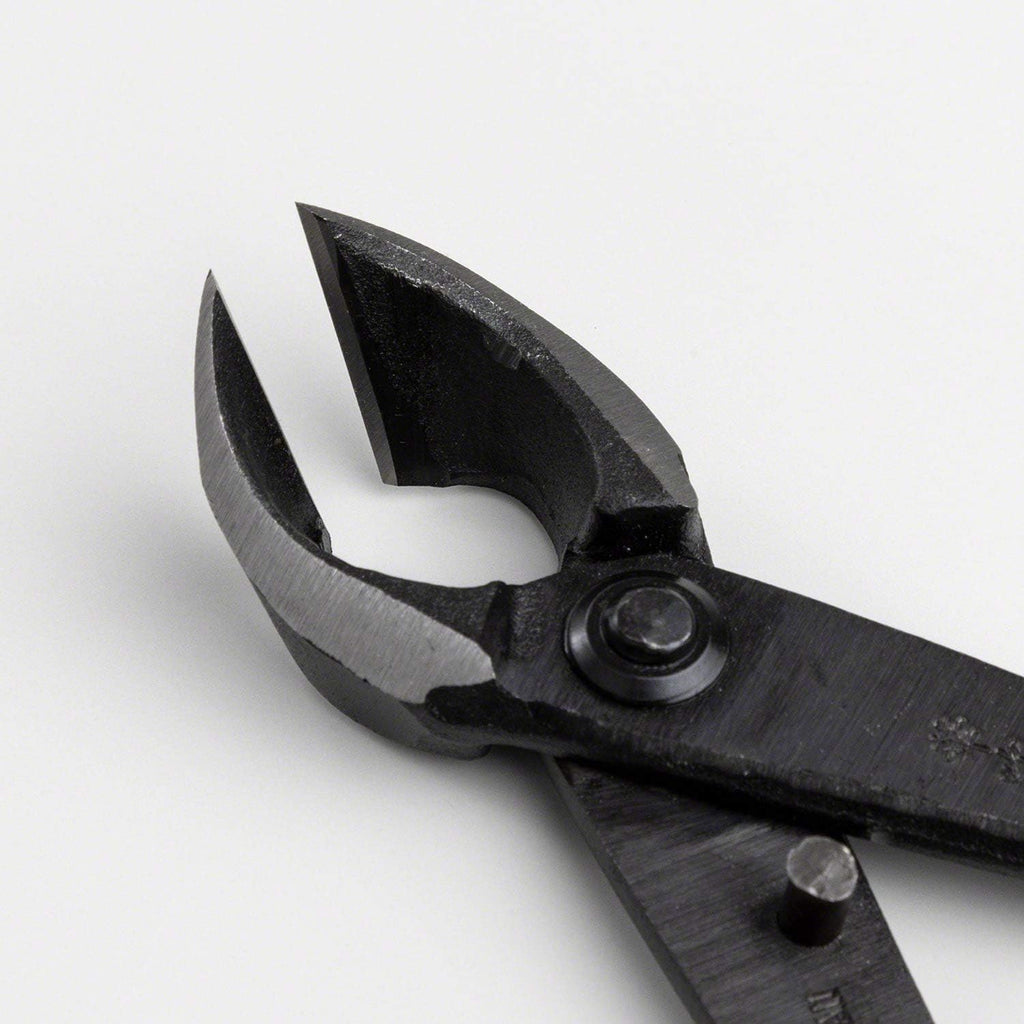 Wazakura Hand Forged Bonsai Concave Branch Cutter, Made in Japan 8 inch (200mm), Japanese Gardening Tools, Straight Edge Black