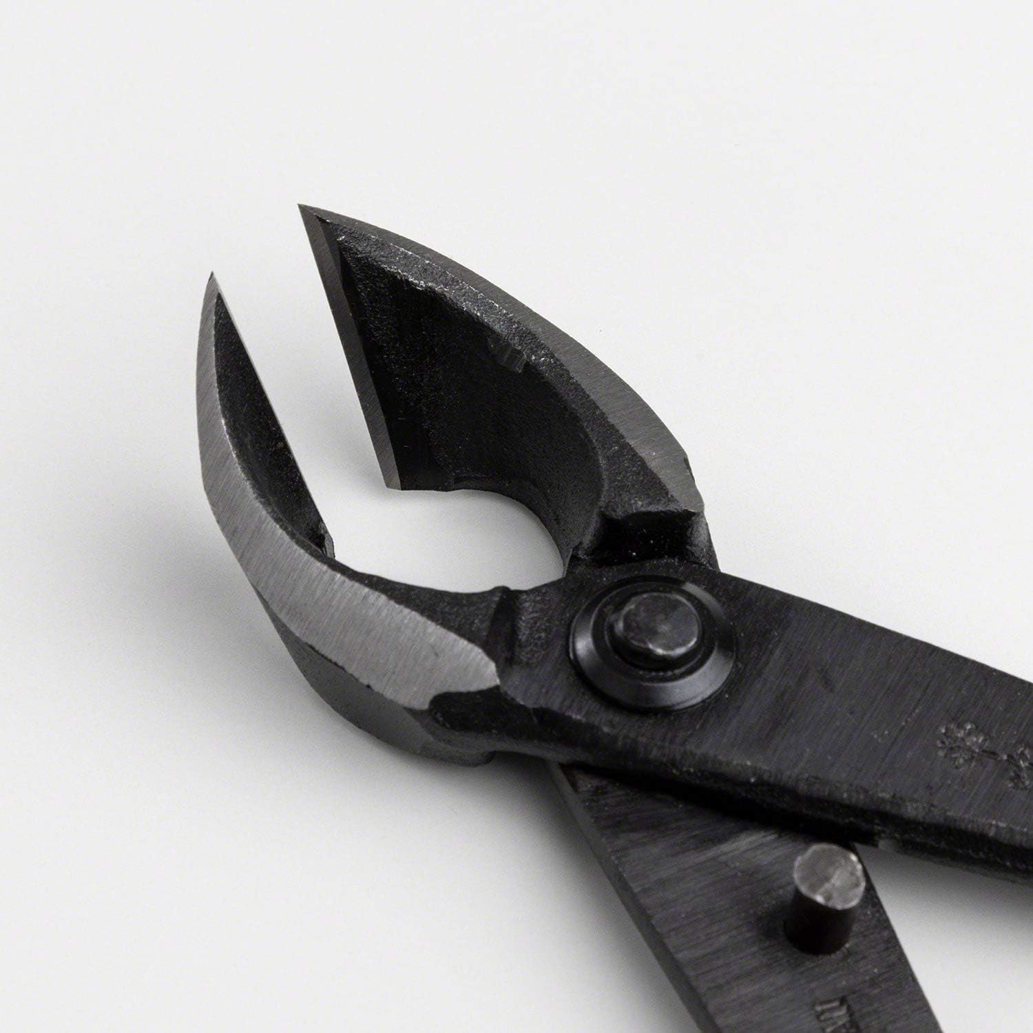 Wazakura Hand Forged Bonsai Concave Branch Cutter, Made in Japan 8 inch (200mm), Japanese Gardening Tools, Straight Edge Black