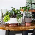 The HC Companies 6 Inch Round Plastic Succulent Capri Bowl 6"x6"x2.25" in Faux Concrete Color