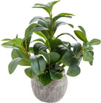 alphaacc 12.8" artificial ficus plant in cement pot, main product view