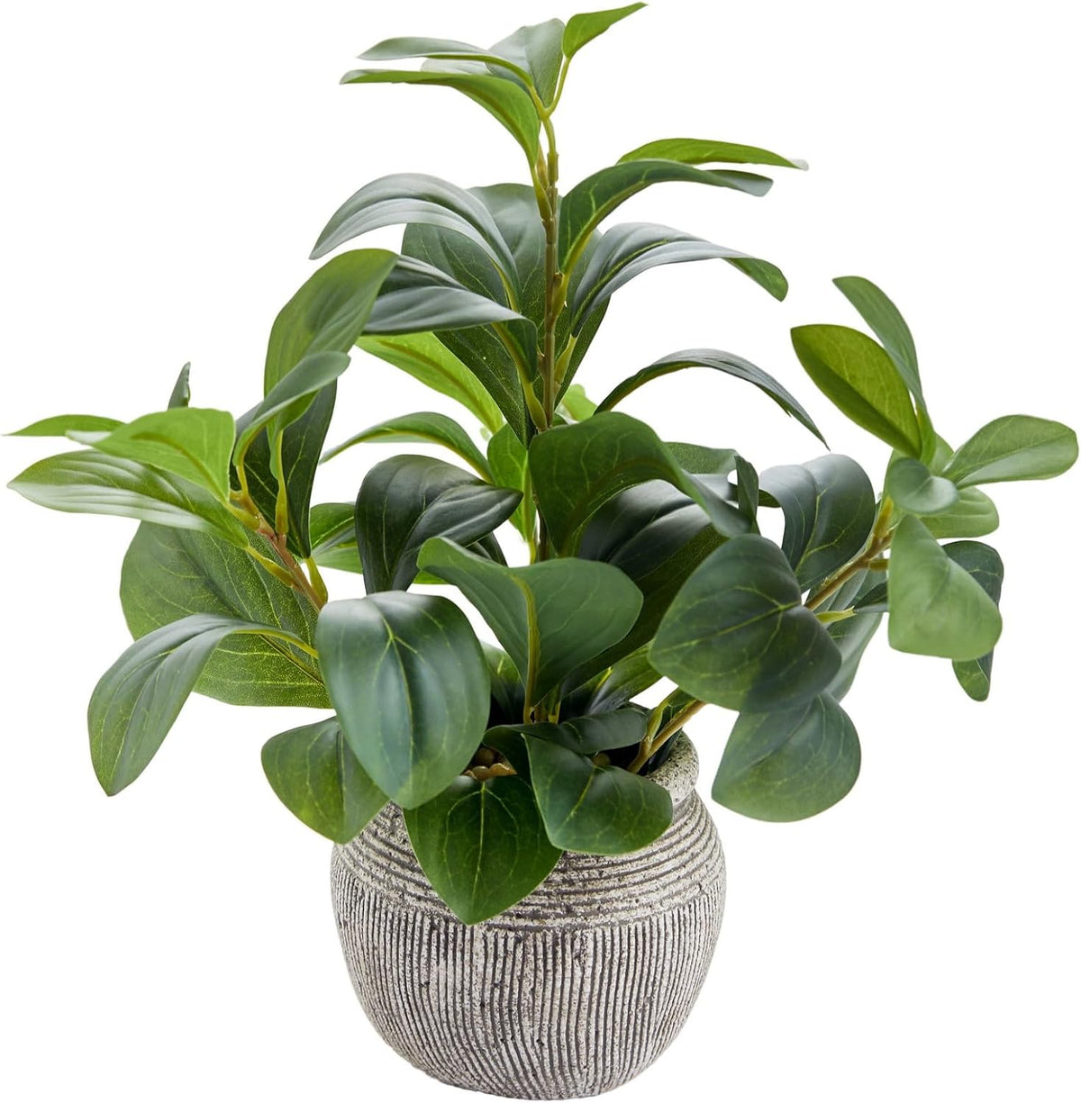 alphaacc 12.8" artificial ficus plant in cement pot, main product view