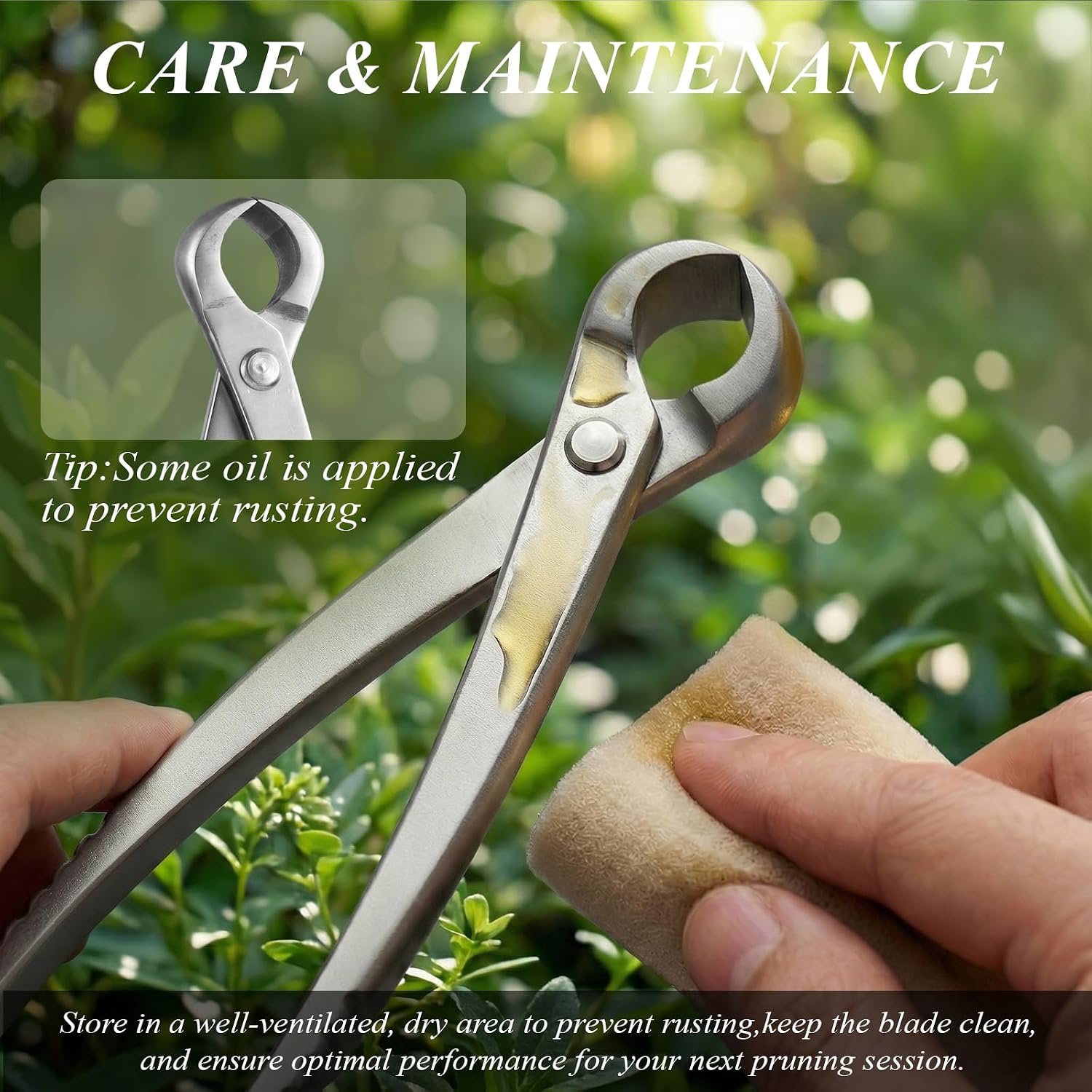 Bonsai Tools Set 3-Piece – Knob Cutter, Concave Cutter & Scissors for Trim | High-Carbon Steel, Ergonomic Non-Slip Grip, for Bonsai Tree Pruning & Shaping, Portable Storage Bag