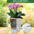 Cdd's Path 5-Pack 6 Inch Self Watering Naked Root Planter Pots with Drainage Holes & Reservoir, Plastic Planters with Air Pipes for Indoor Outdoor Plants，Clear