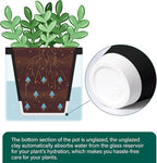 D'vine Dev 4 Inch Design Self Watering Planter for Indoor Plants, Black Terracotta Pot with Cylinder Glass Cup, Set of 2, 37-Y-A-3