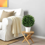22''t artificial cedar topiary ball tree 2 pack on a desk or shelf