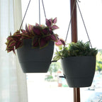 10 Inch Self Watering Hanging Pots, 2 Pack Hanging Planters with 40oZ Deep Reservior for Indoor Outdoor Plants Flowers, Grey