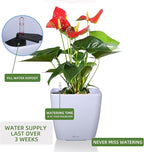 Dexceder 11x10 Self Watering Planter Indoor Outdoor, Inner Mat Design, Thickened Table Flower Plant Pot with Water Level Indicator (White High Gloss)