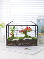 redhugo glass planter terrarium with lid, indoor display on a desk or shelf