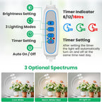 Wiaxulay Clip Grow Lights for Indoor Plants, 3.5in Full Spectrum 2 Heads | 96 LEDs Halo Plant Light 6000K+660nm, 360° Gooseneck Clip, 6/12/16H Timer, 5 Brightness,1 Pack for Seed Starting Hydroponics