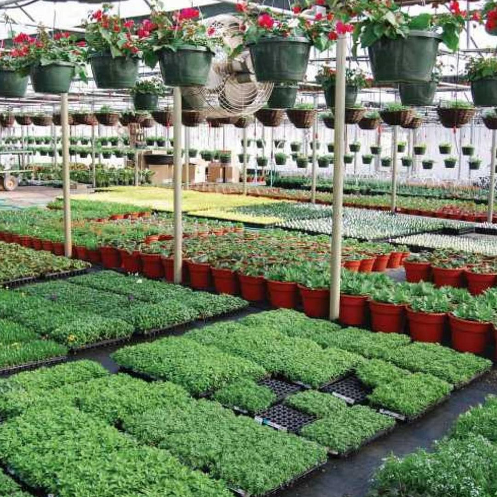 farm plastic supply - black & white greenhouse showing dimensions