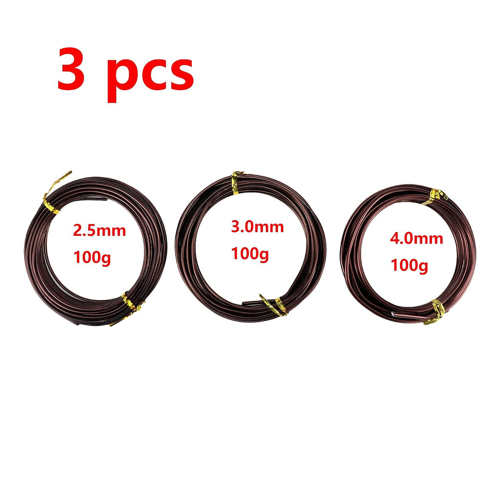 Antrader Bonsai Training Wire Set,Anodized Aluminum Wire 2.5mm/3.0mm/4.0mm Training Wire for Bonsai Trees,3 Sizes/100g,Brown