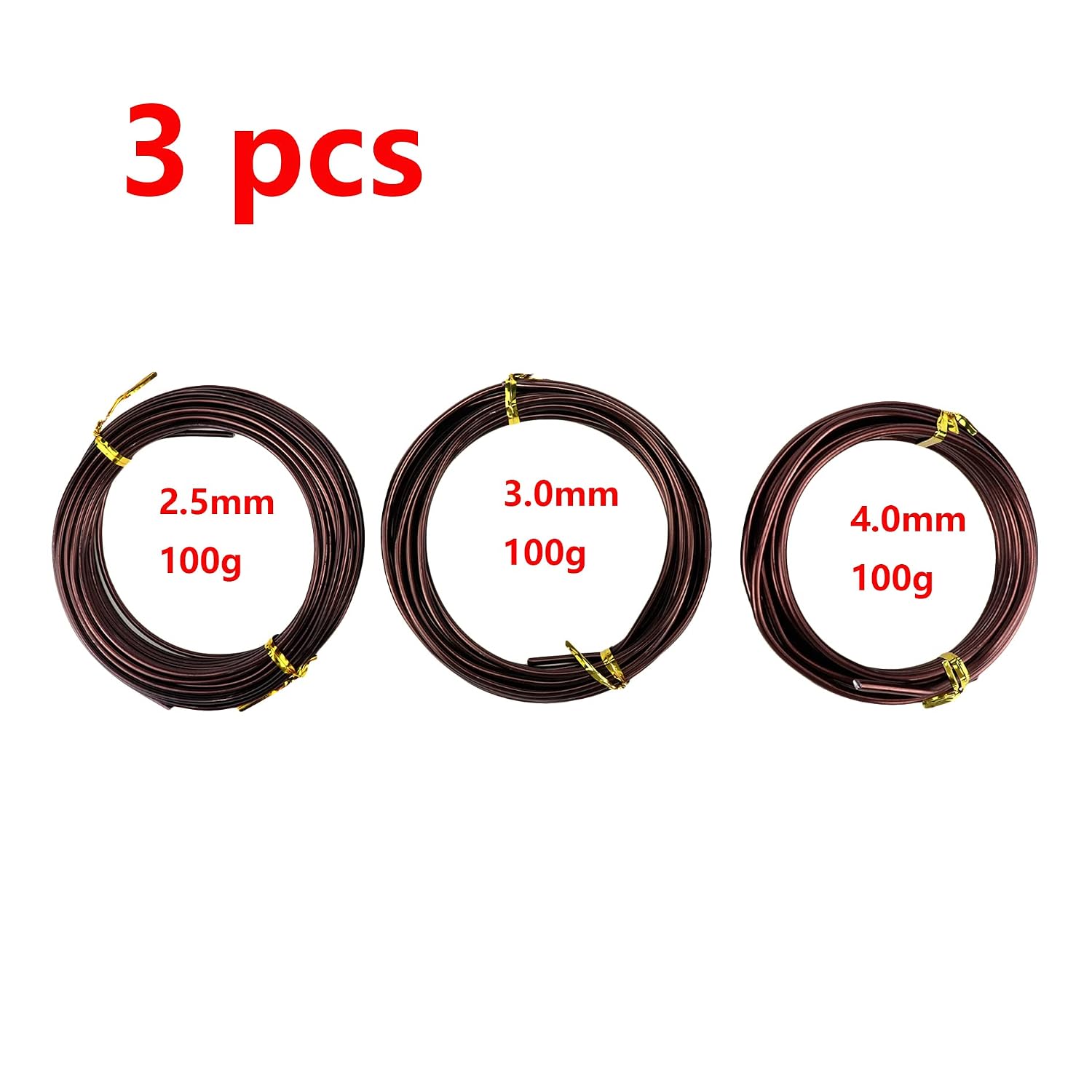 Antrader Bonsai Training Wire Set,Anodized Aluminum Wire 2.5mm/3.0mm/4.0mm Training Wire for Bonsai Trees,3 Sizes/100g,Brown