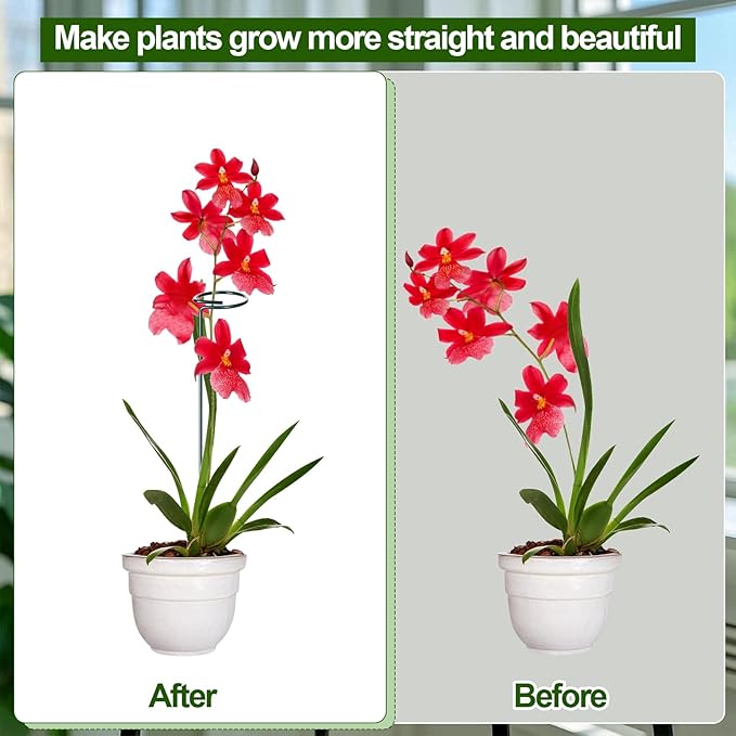Mwellewm 6 Sets Plant Stakes 12/25/36 Inch Adjustable Plant Support Stakes Tall for Indoor Outdoor Plant Holder Stick Steel Garden Stem Pole Amaryllis Stakes with 30 Clip for Tomato Orchid Lily Flower