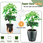 Self Watering Pots for Indoor Plants, 6-Pack 6.7'' Self Watering Planter with Drainage Holes, Small African Violet Pots with Water Indicator, Clear Wick Orchid Pot, Grey Gold
