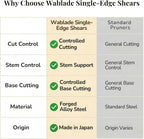 Wablade Japanese Pruning Shears, 8.2" Long, Cuts up to 0.39", Made in Japan | Precision bonsai scissors for thicker stems & base cutting, forged alloy steel blade for clean, controlled cuts, Single-Edge