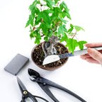 wazakura 4pcs bonsai tool kit, traditional scissors and shown in use