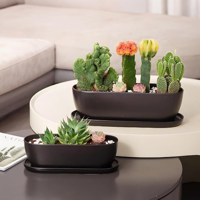 E-liu Oval Ceramic Planter Pot with Drainage Hole Saucers 11 Inch Succulents Planter Home Decor for Indoor Outdoor Plants Herb Cactus with 3 Mesh Pads, Plants Not Included, Black