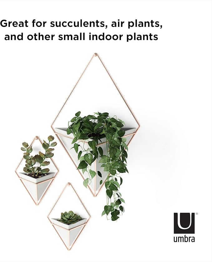 Umbra Trigg Hanging Planter Vase Wall Decor, Set of 2 Pots Containers for Succulents, Cactus, Faux Plants, and More, Small, Grey/Copper