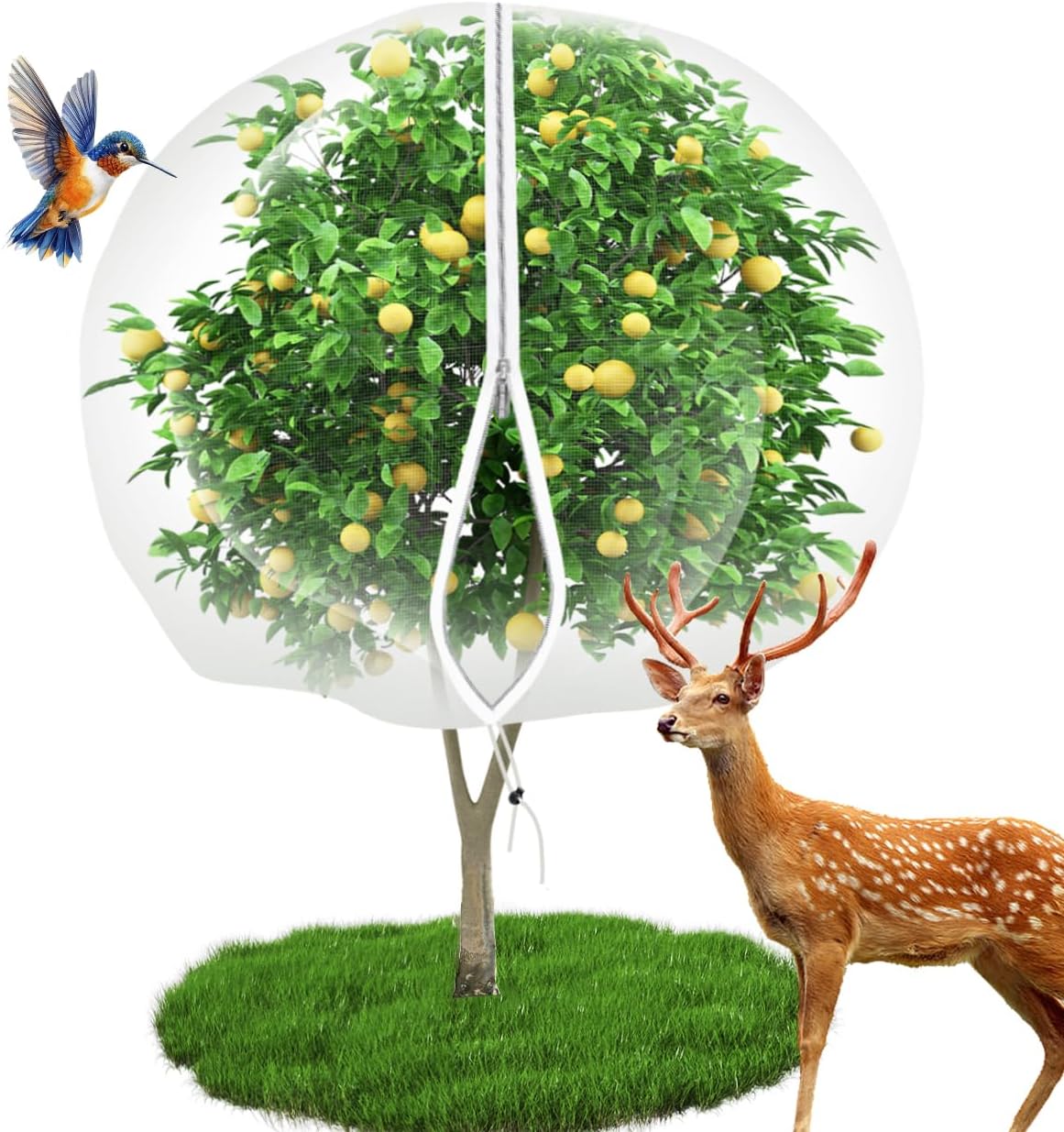 10'x14' large fruit tree netting for squirrels and, main product view