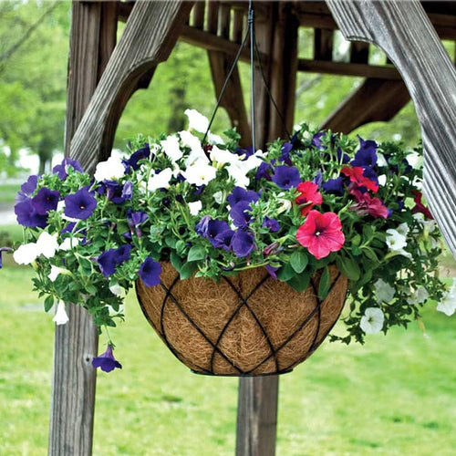 2PCS Hanging Basket Liners Coco Liner 8 Inch Round Coconut Coir Basket for Plants Replacement for Hanging Basket 100% Natural Coconut Fiber Plant Basket Liner for Garden Planter Flower Pot