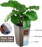 2 Pack Self Watering Planters 10.7" x 6.9" Planter for Indoor Plants Self Watering Violet Pots Plastic Flower Pots Square Planter with a Bag of Clay Pebbles, Bronze