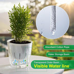 Self Watering Planters - 2 Pack, 6 Inch Transparent Flower Pots for Indoor Plants, Perfect for African Violet, Monstera, Succulents, Herbs & Decorative Flowers